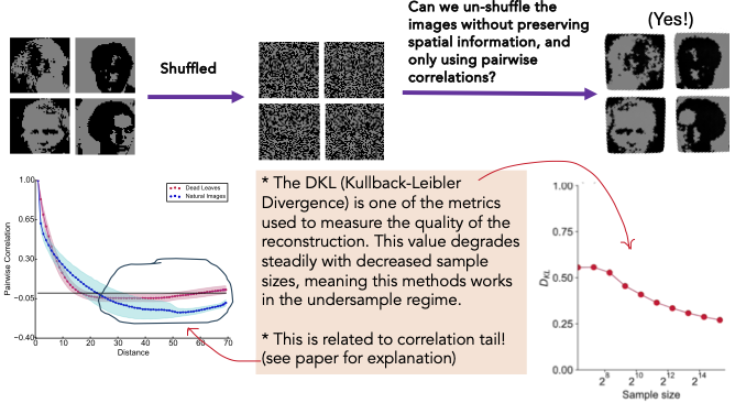 Inferring local relations using images